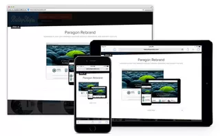 Project Detail - Multi Platform Display for Paragon
