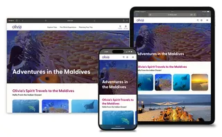 Olivia - Blog Detail Example Page